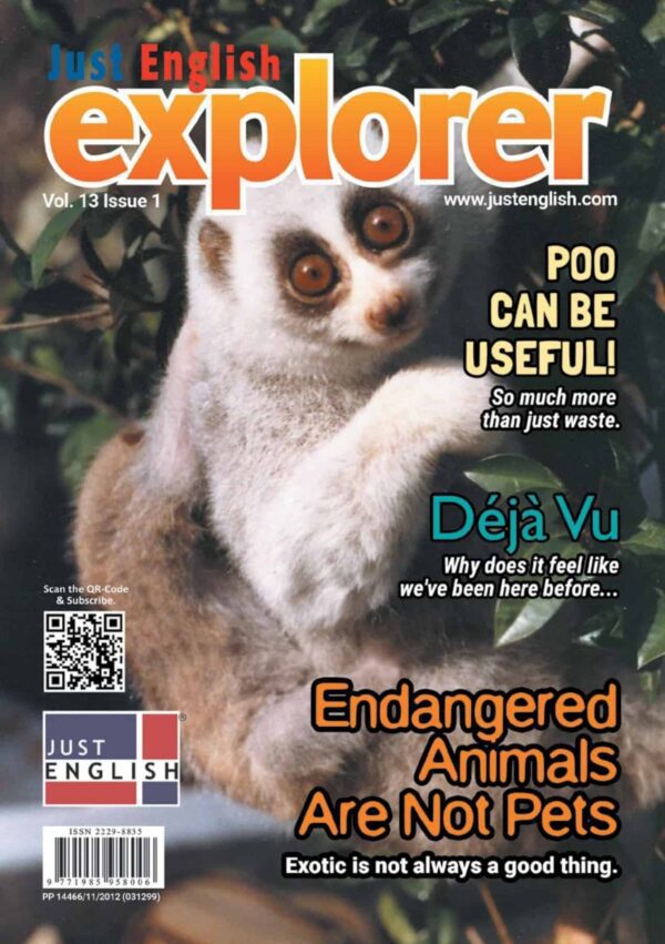 Just English Explorer Magazine Subscription | Subscrb - Get The Best Malaysia Magazine Subscriptions On Subscrb.com