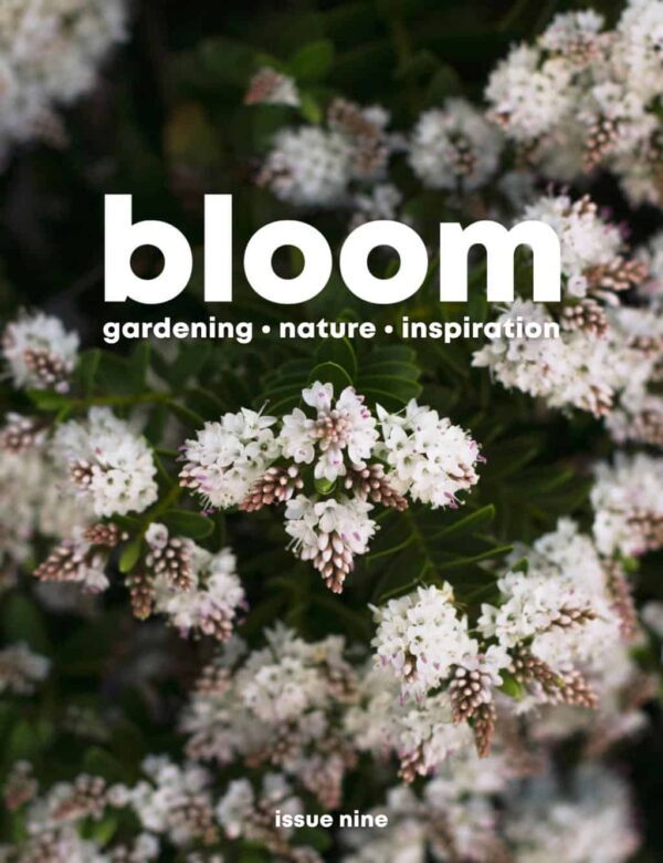 Bloom | Subscrb - Get The Best Malaysia Magazine Subscriptions On Subscrb.com