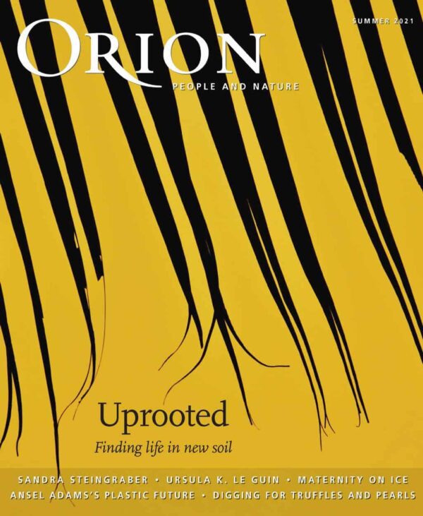 Orion | Subscrb - Get The Best Malaysia Magazine Subscriptions On Subscrb.com